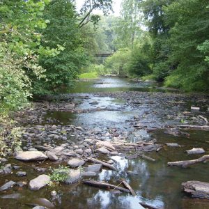 May 2017: Dr. Nicole Wilkinson